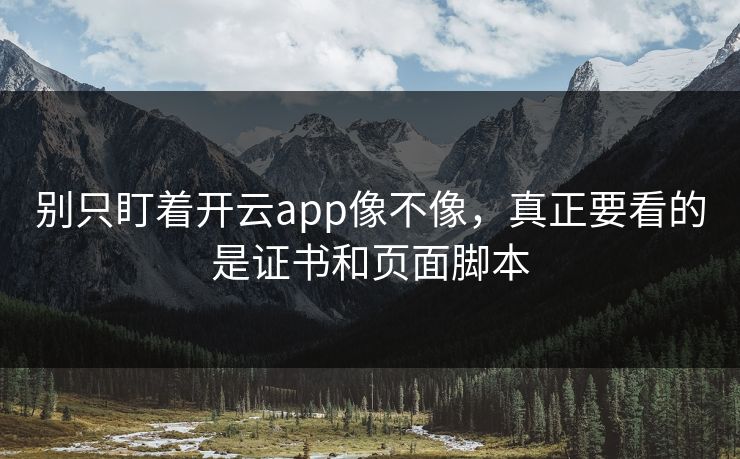 别只盯着开云app像不像，真正要看的是证书和页面脚本