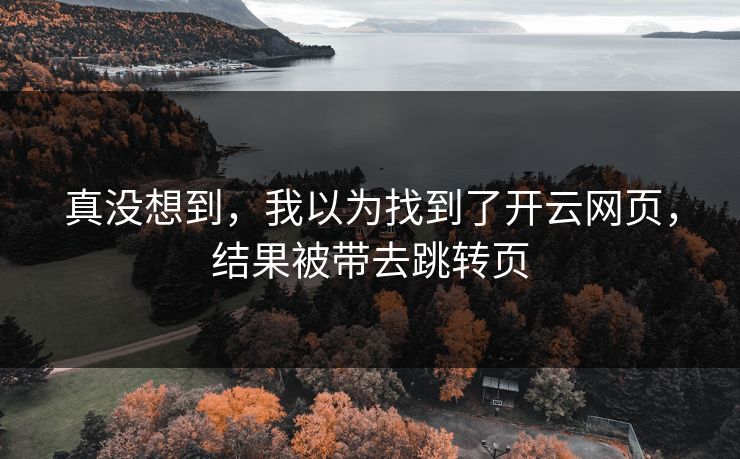 真没想到，我以为找到了开云网页，结果被带去跳转页