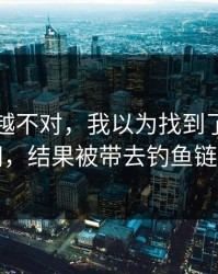 我越想越不对，我以为找到了开云官网，结果被带去钓鱼链接