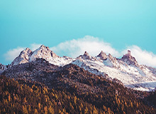 云体育入口真假入口怎么分？我做了五秒判断，一眼就明白：7个快速避坑